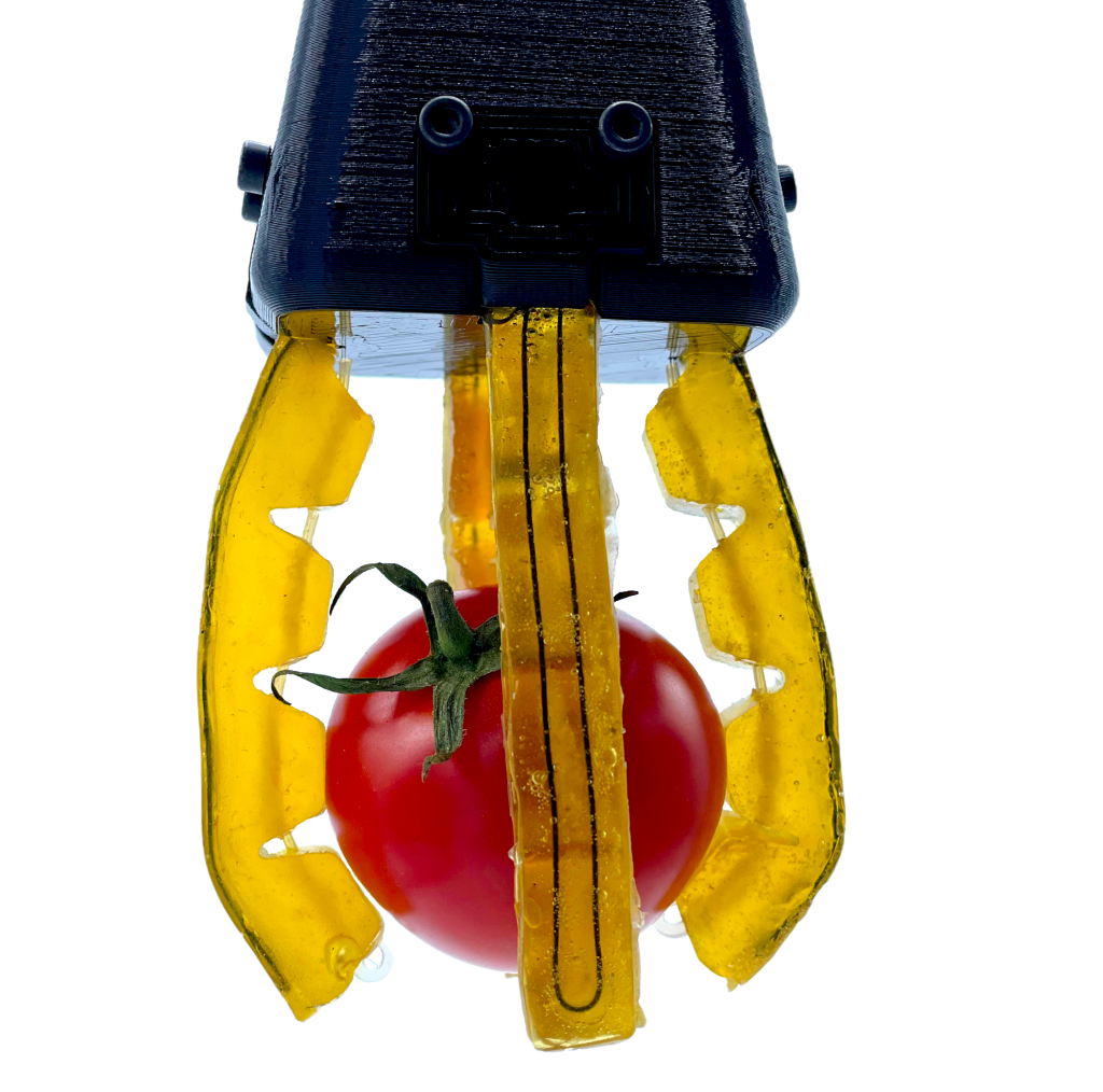 A self-healing soft gripper holding a tomato.